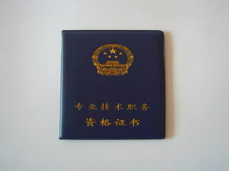 定制证书定制 定制证书定制-橙绿活力青春风