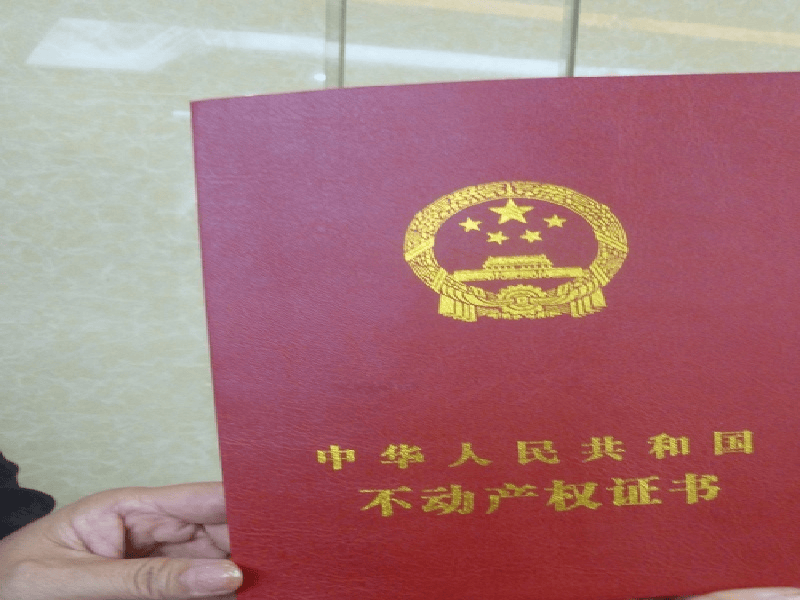 聘书任命书定制 聘书任命书定制-橙绿活力青春风